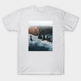 Reynisfjara Cliffs T-Shirt